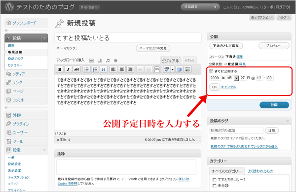 公開予定日時を入力する